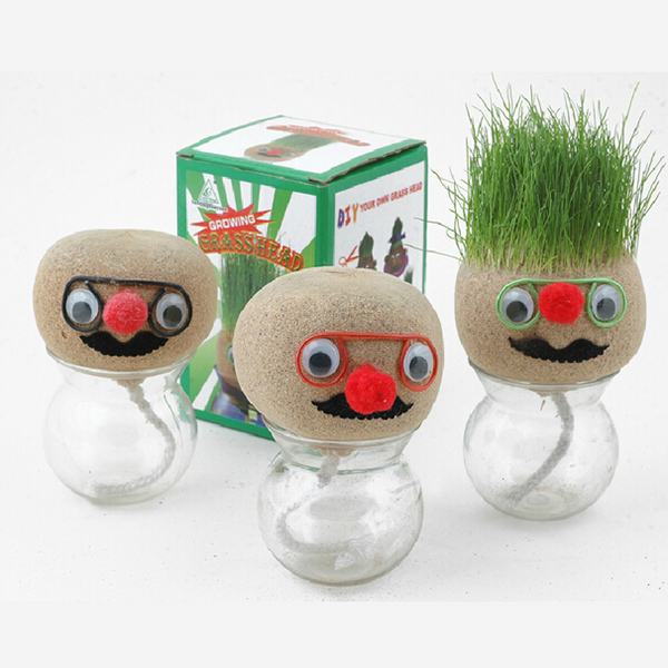 

Мини DIY магия травянистое растение горшок голова куклы Обои для рабочего офисного горшках